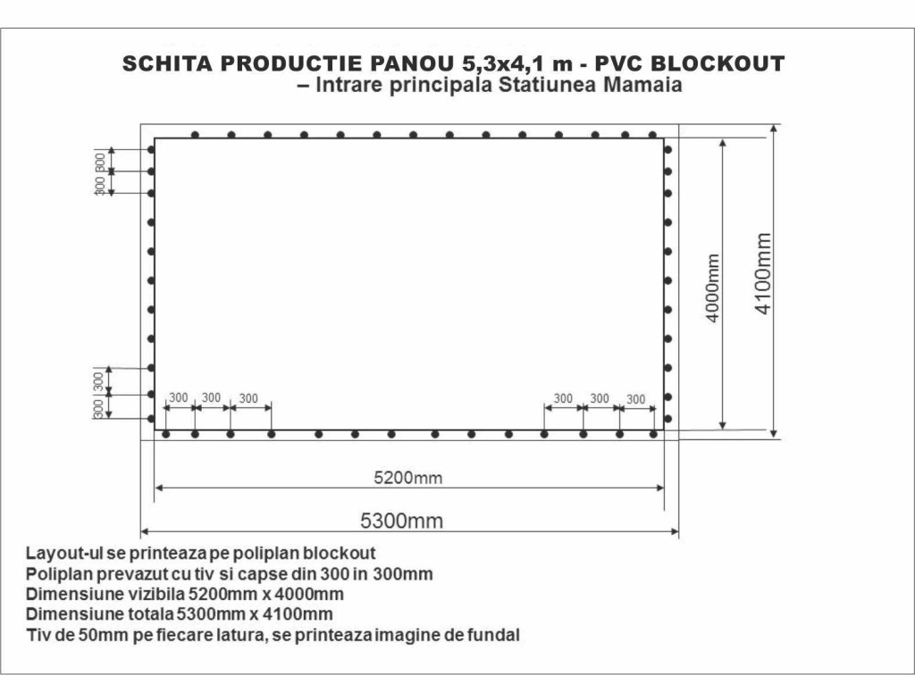 schita poliplan 5,3 x 4,1m - Panou Intrare principala Statiunea Mamaia